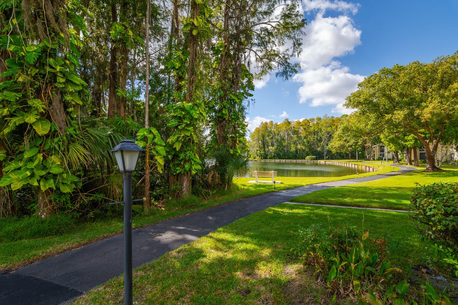 PINE RIDGE AT LAKE TARPON VILLAGE - Residential