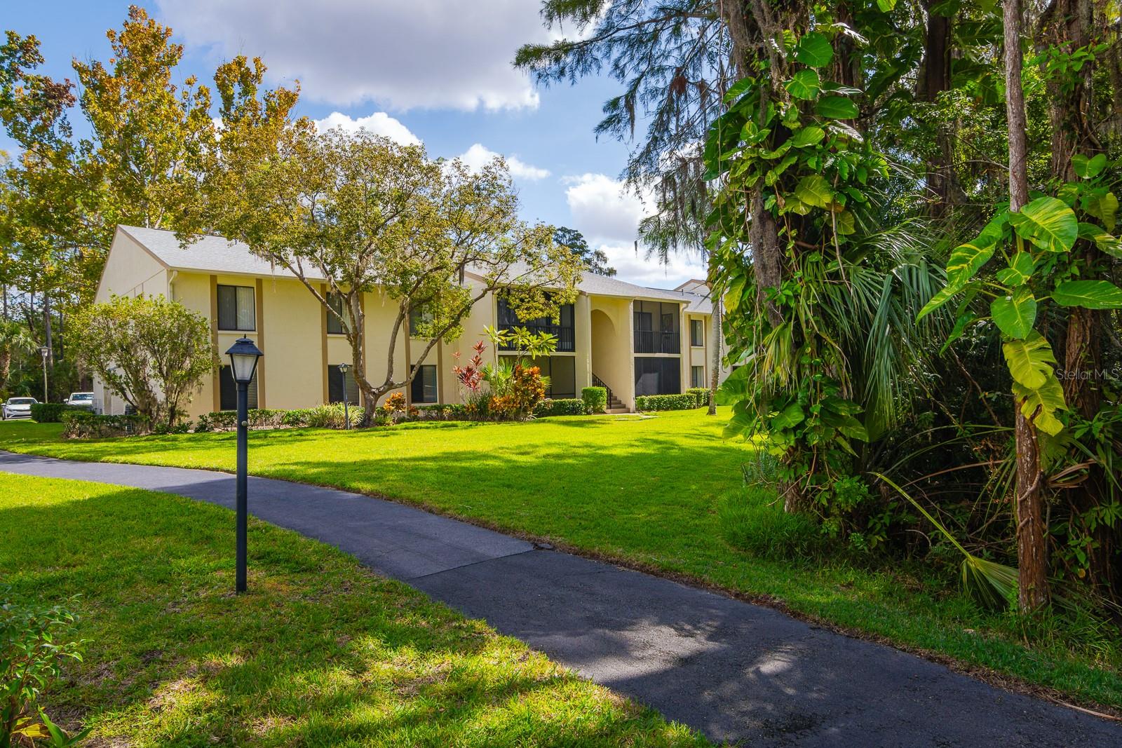 PINE RIDGE AT LAKE TARPON VILLAGE - Residential