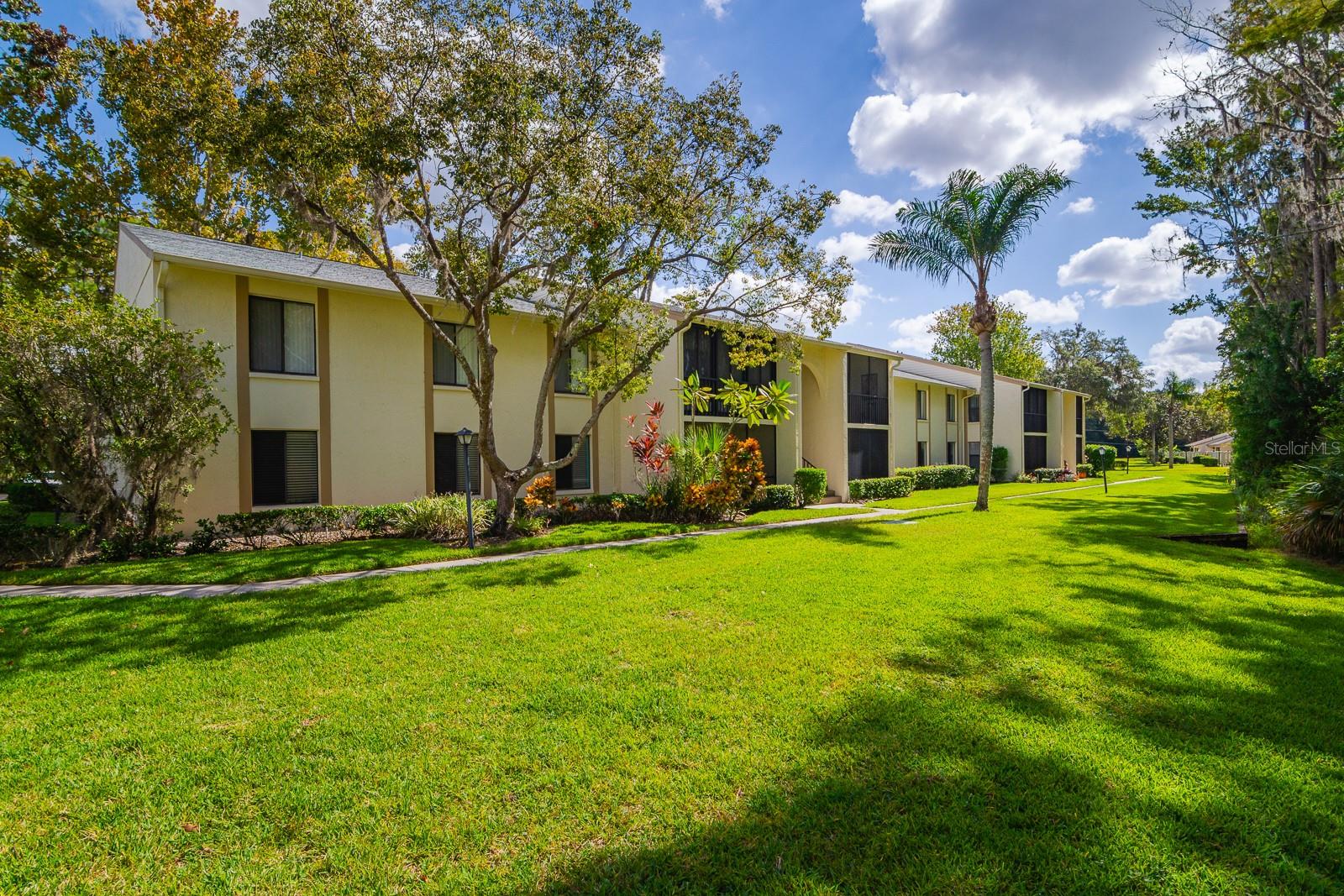 PINE RIDGE AT LAKE TARPON VILLAGE - Residential