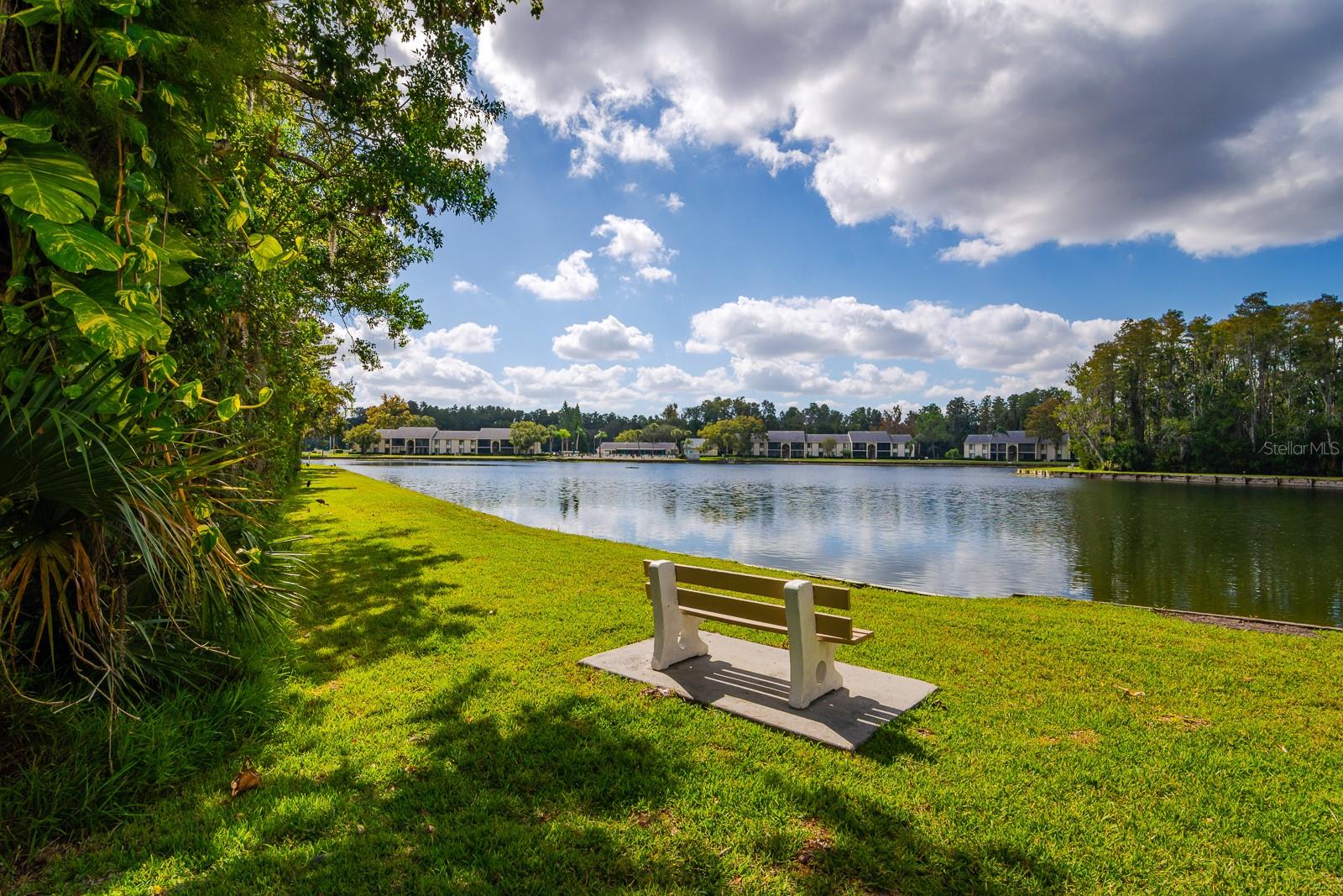 PINE RIDGE AT LAKE TARPON VILLAGE - Residential