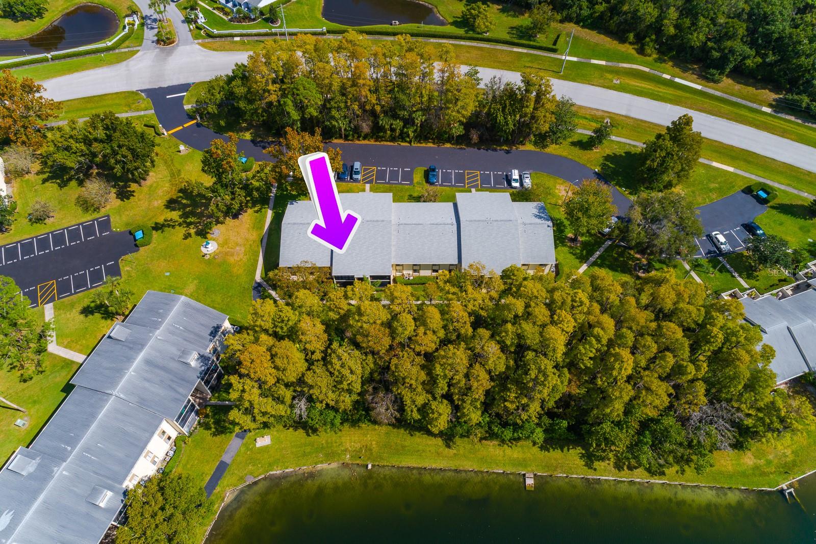 PINE RIDGE AT LAKE TARPON VILLAGE - Residential