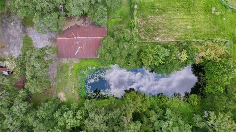 A home in PLANT CITY