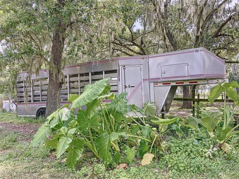 A home in PLANT CITY