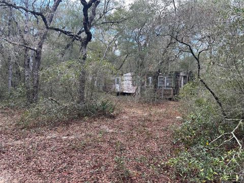 9280 SE 194TH COURT OCKLAWAHA FL 32179