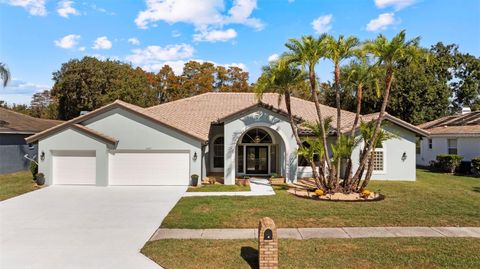 1222 BERKSHIRE LANE TARPON SPRINGS FL 34688