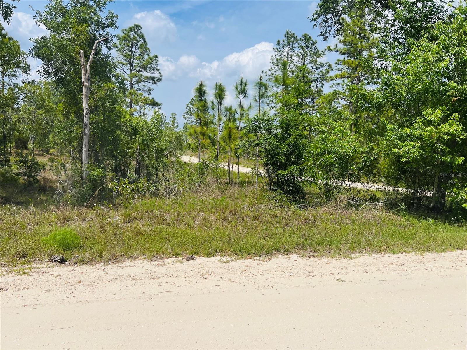 Alert..Alert...Builders, Developers , Investors & Others--Available Now FOR SALE A Beautiful 10-ACRE TRACT With (10) Side By Side 1-Acre Home Sites Located In The Subdivision Of Williston Highlands! You Can Purchase all Ten Acres -Or- Individual Lots. This Property is Zoned Rural Residential allowing For On Site Built Homes or Manufactured Homes with No HOA Offering You Flexibility In How You Use Your Property. These (10) One-Acre Side By Side New Construction Sites Are Elevated High and Dry with Beautiful Trees. This 10-Acre Tract is Located Off NE 4TH street, NE 131ST Terrace, NE 2ND Street & NE 132ND Terrace and Just A Beautiful 8 Mile Drive Into Williston For Shopping & Dining + More...Short Drive To Historic Dunnellon's Town Square and The New World Equestrian Center In Ocala, FL.