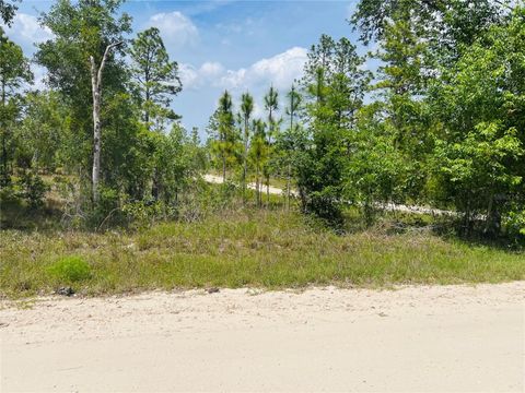 0000 NE 132 TERRACE TERRACE WILLISTON FL 32696