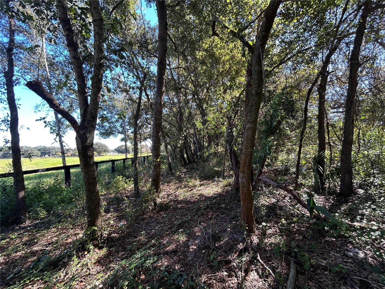 NOT IN SUBDIVISION - Residential