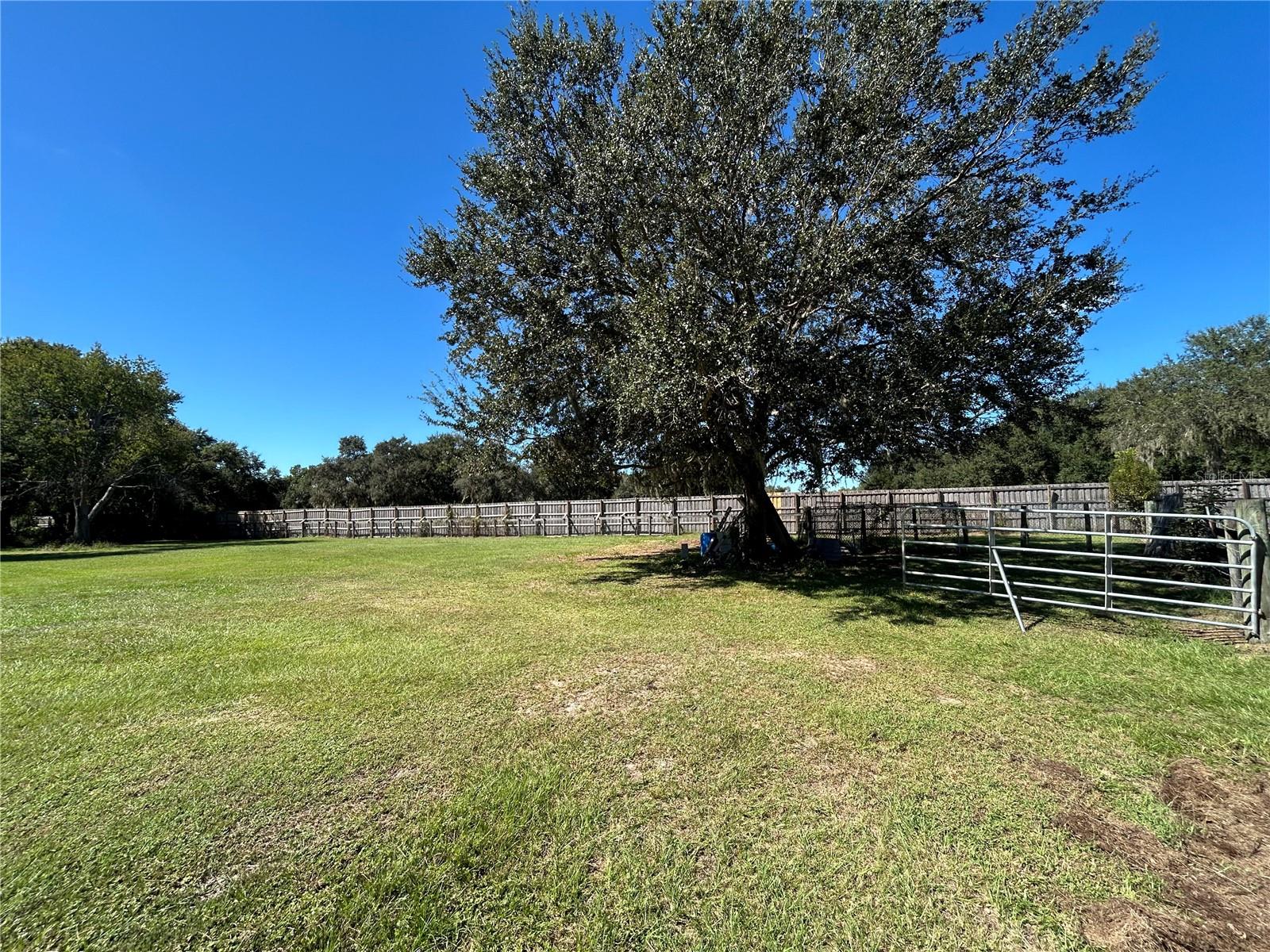 NOT IN SUBDIVISION - Residential