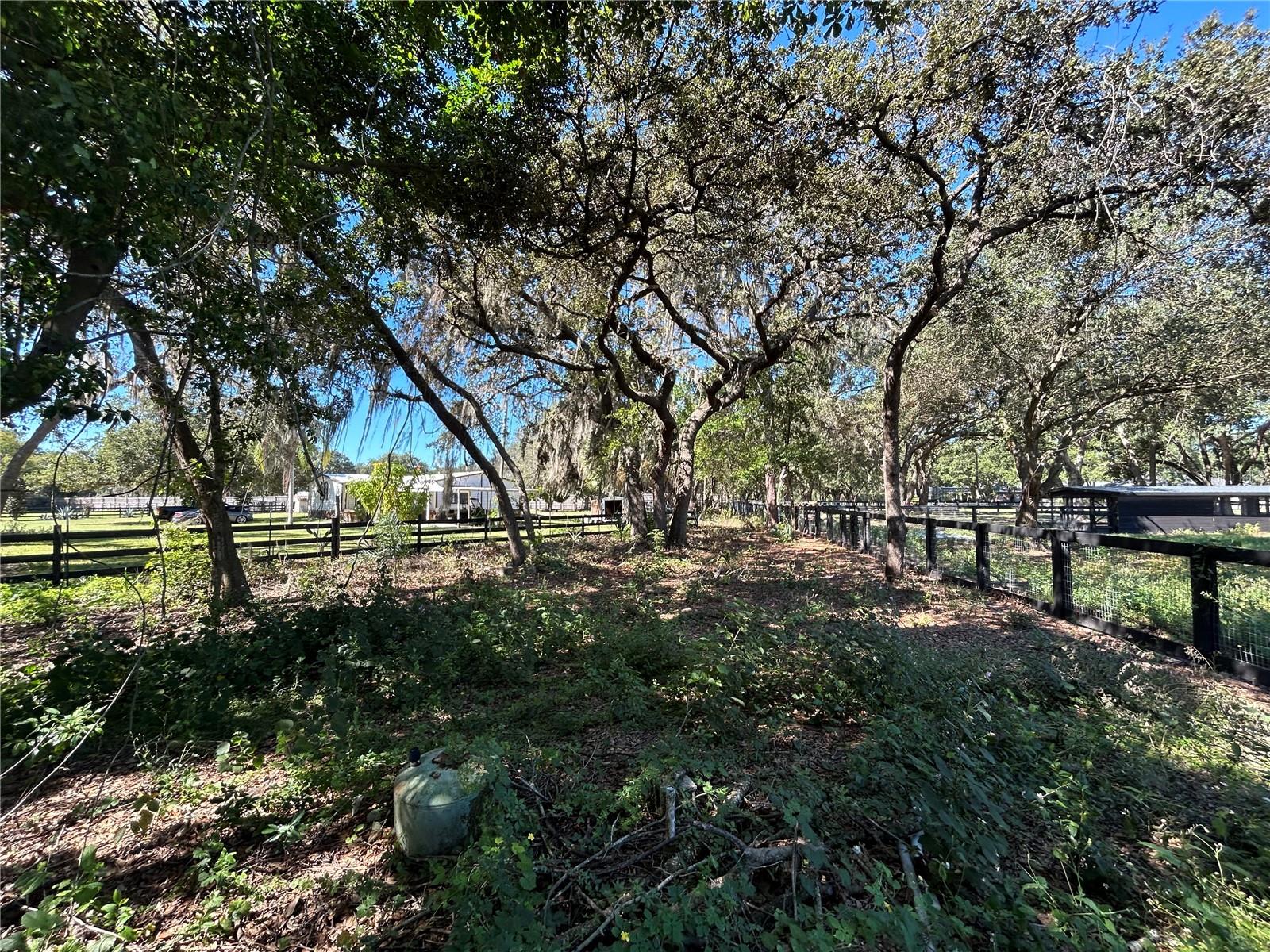 NOT IN SUBDIVISION - Residential