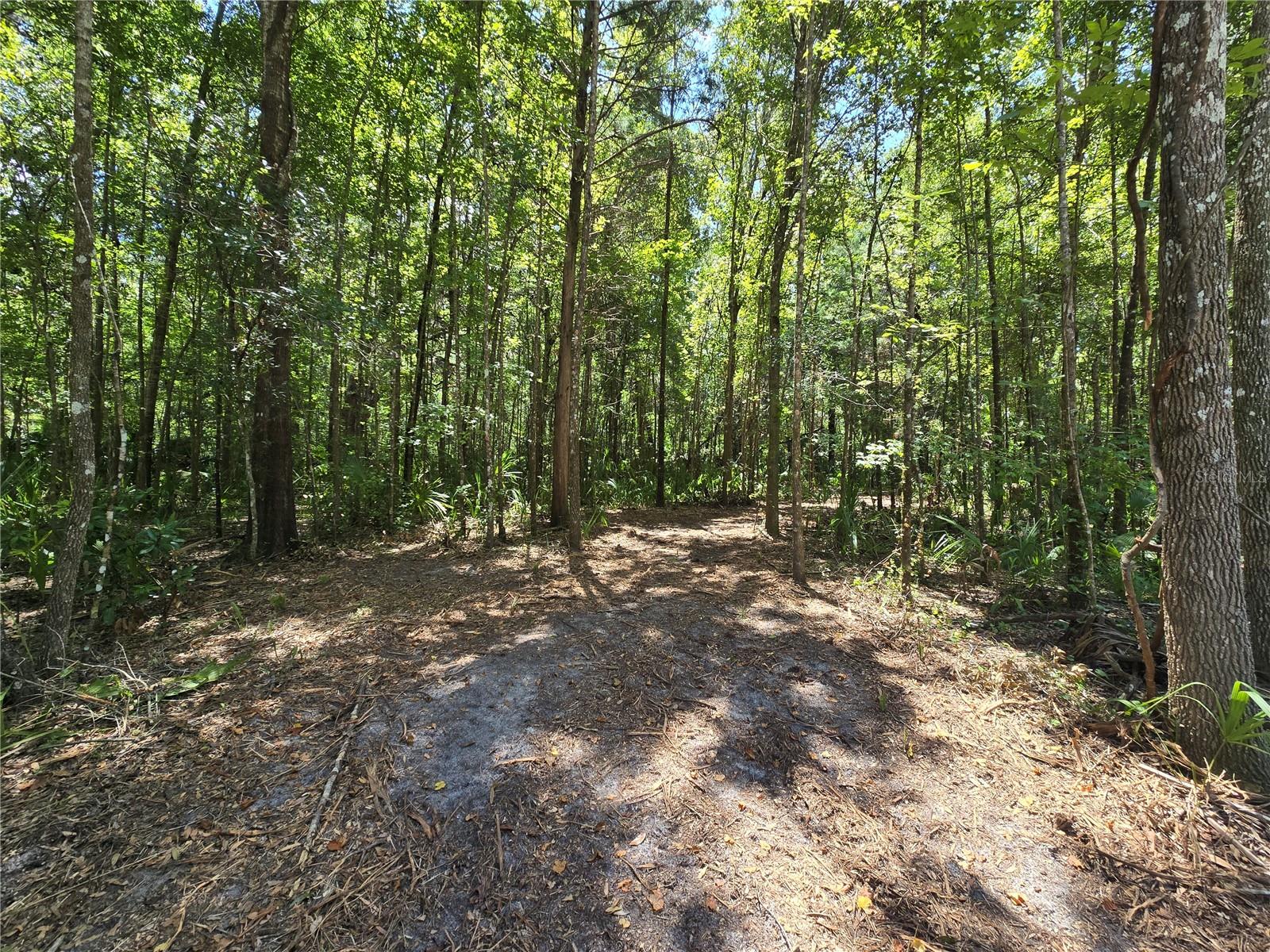 NEWMAN HTS UN #1 - Land