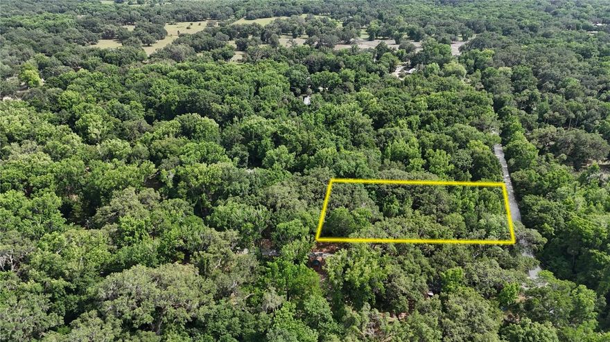 This 1.1-acre property, with additional acreage available, sits just minutes from the Withlacoochee River and Turner Camp boat ramp, offering a peaceful setting surrounded by majestic, old-growth live oaks. It’s an ideal place to grow, put down roots, and build your dream homesite.

Less than five minutes from the Turner Camp boat ramp, for boating, fishing, and kayaking on the Withlacoochee River.

Outdoor enthusiasts will appreciate the close proximity to Potts Preserve, just a short bike ride away, with opportunities for camping, biking, horseback riding, and seasonal hunting. While the property feels quiet and tucked away, downtown Inverness is only a short drive for shops, dining, and everyday conveniences.

Seller financing available.