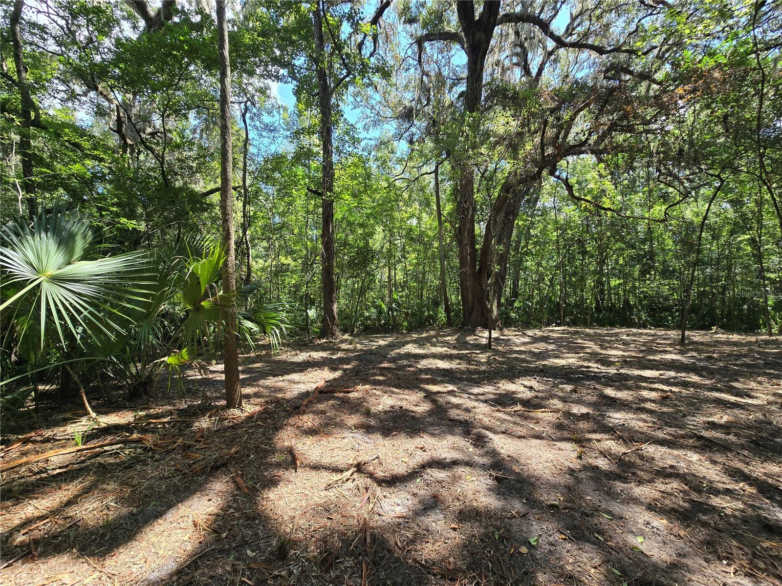 NEWMAN HTS UN #1 - Land