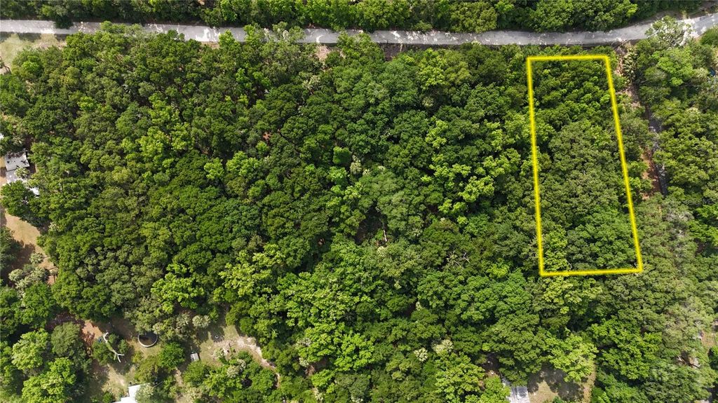 Photo of 2435 N Jennifer Terrace, Inverness, FL 34453 (MLS # OM715677)