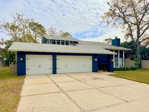 A home in PALM HARBOR