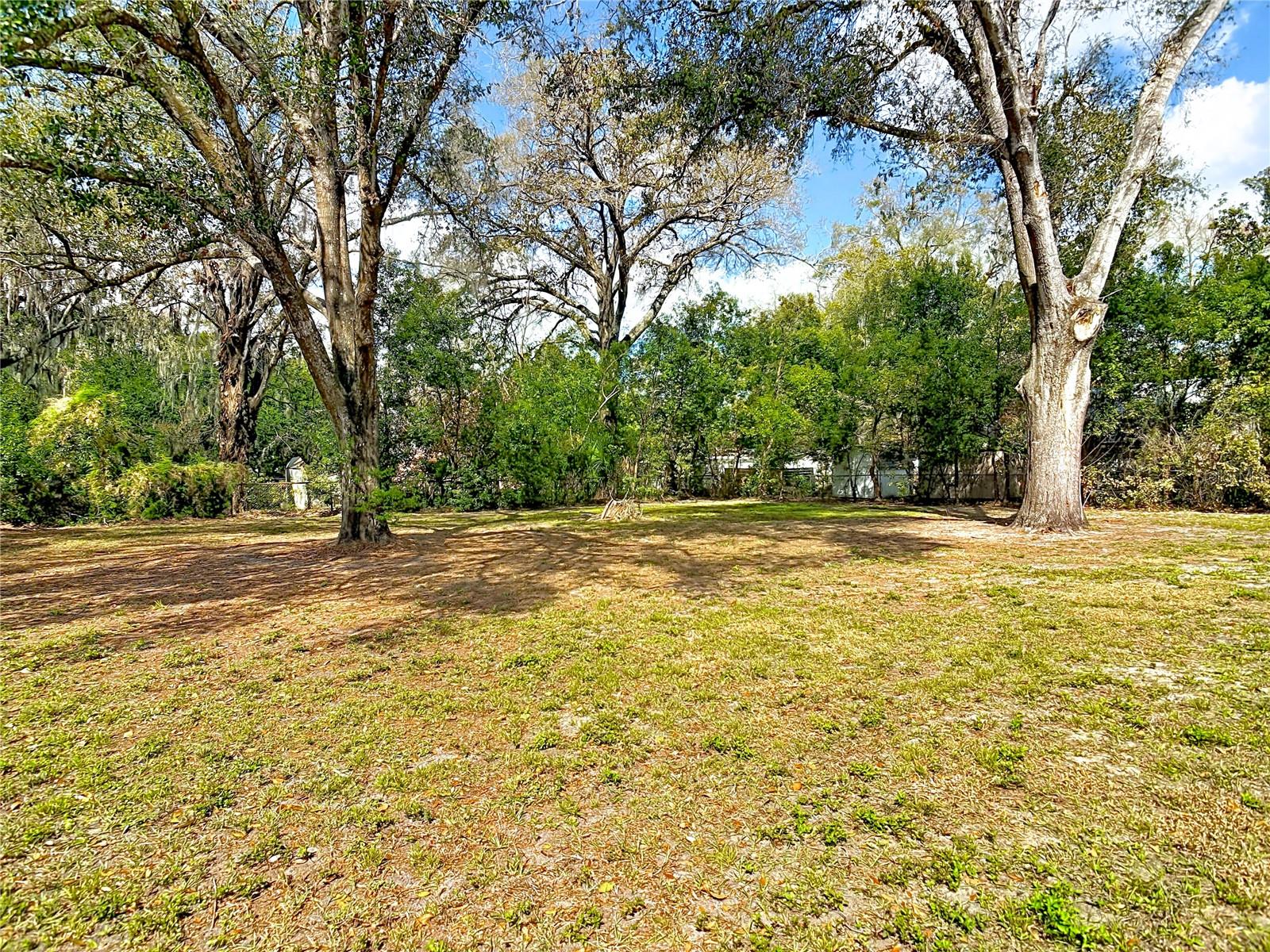 MOUNT DORA OAKWOOD - Residential