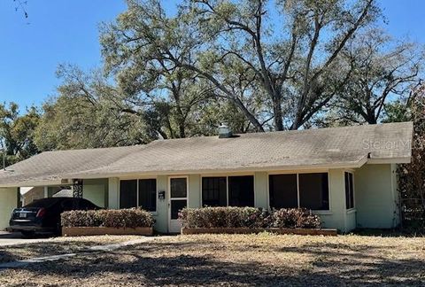 Photo of 313 S Rossiter Street, Mount Dora, FL 32757 (MLS # O6386051)