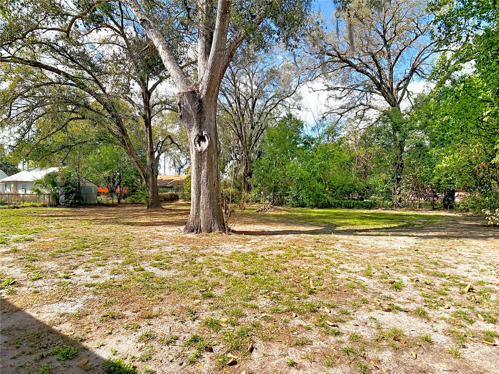 MOUNT DORA OAKWOOD - Residential