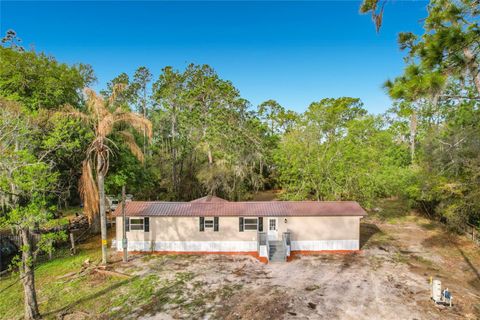 Photo of 10916 Country Haven Drive, Lakeland, FL 33809 (MLS # L4960524)