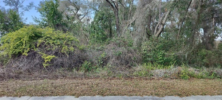 Photo 1 of 9 — 204 ADELPHI STREET, INVERNESS, FL 34452