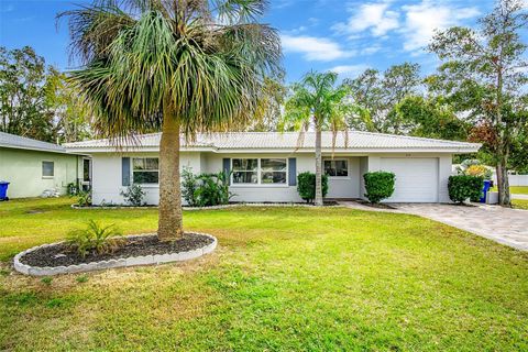 A home in DUNEDIN