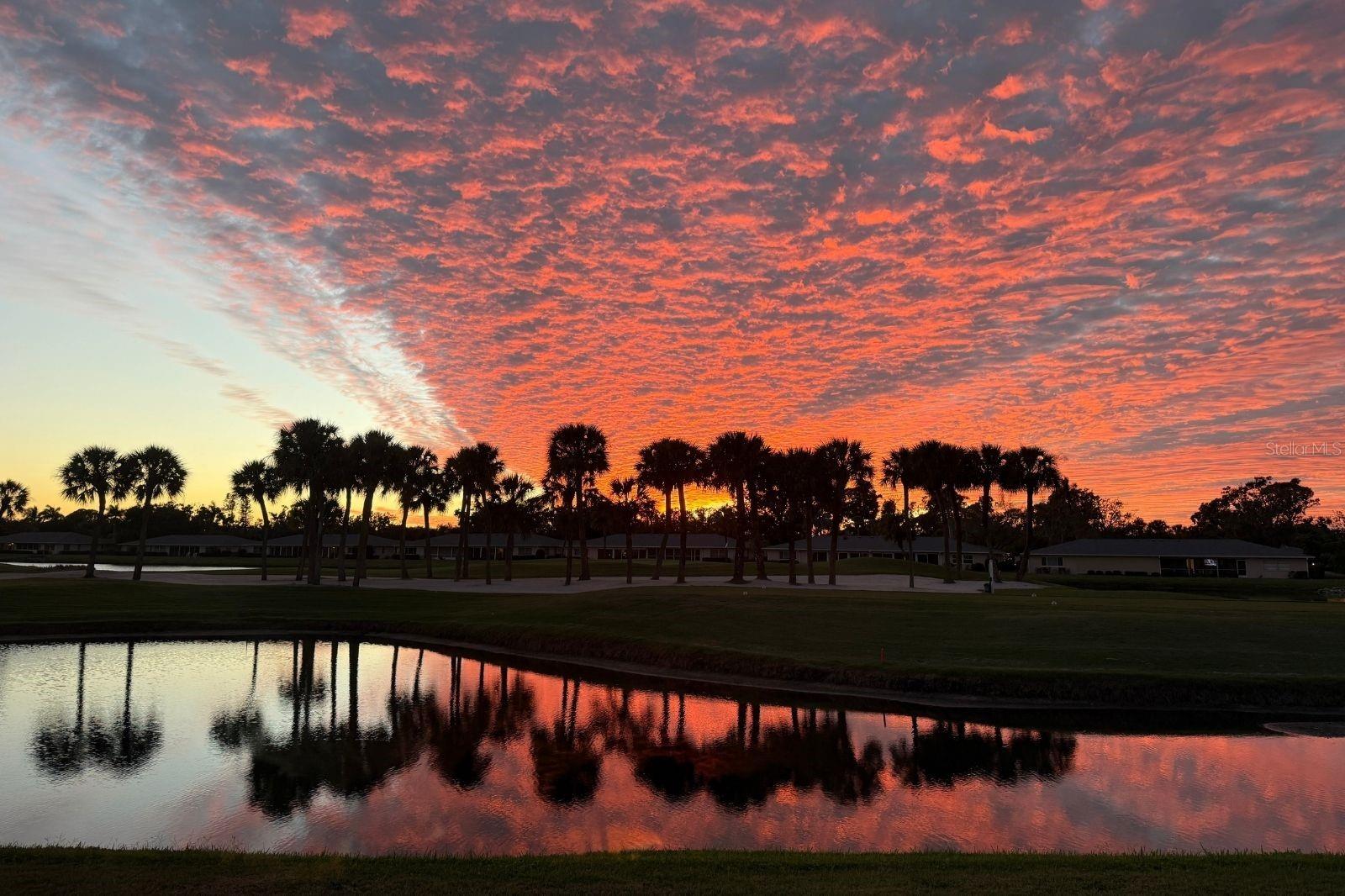 PALM-AIRE AT SARASOTA 10-D - Residential