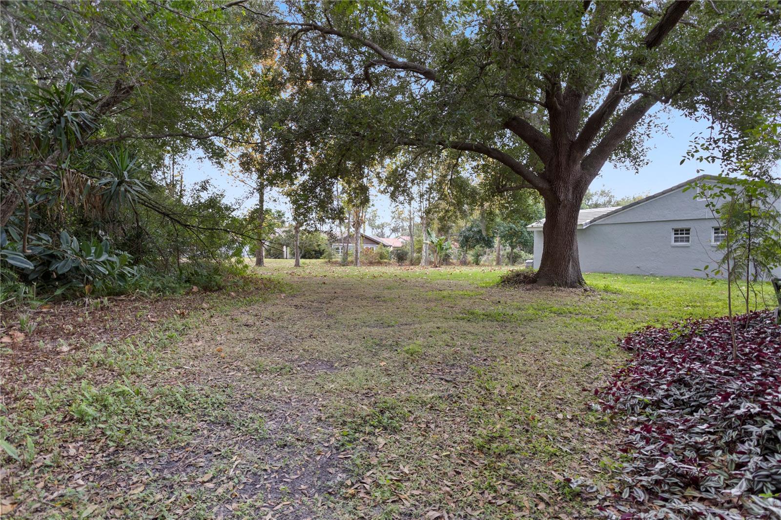 LIME TREE VILLAGE - Residential