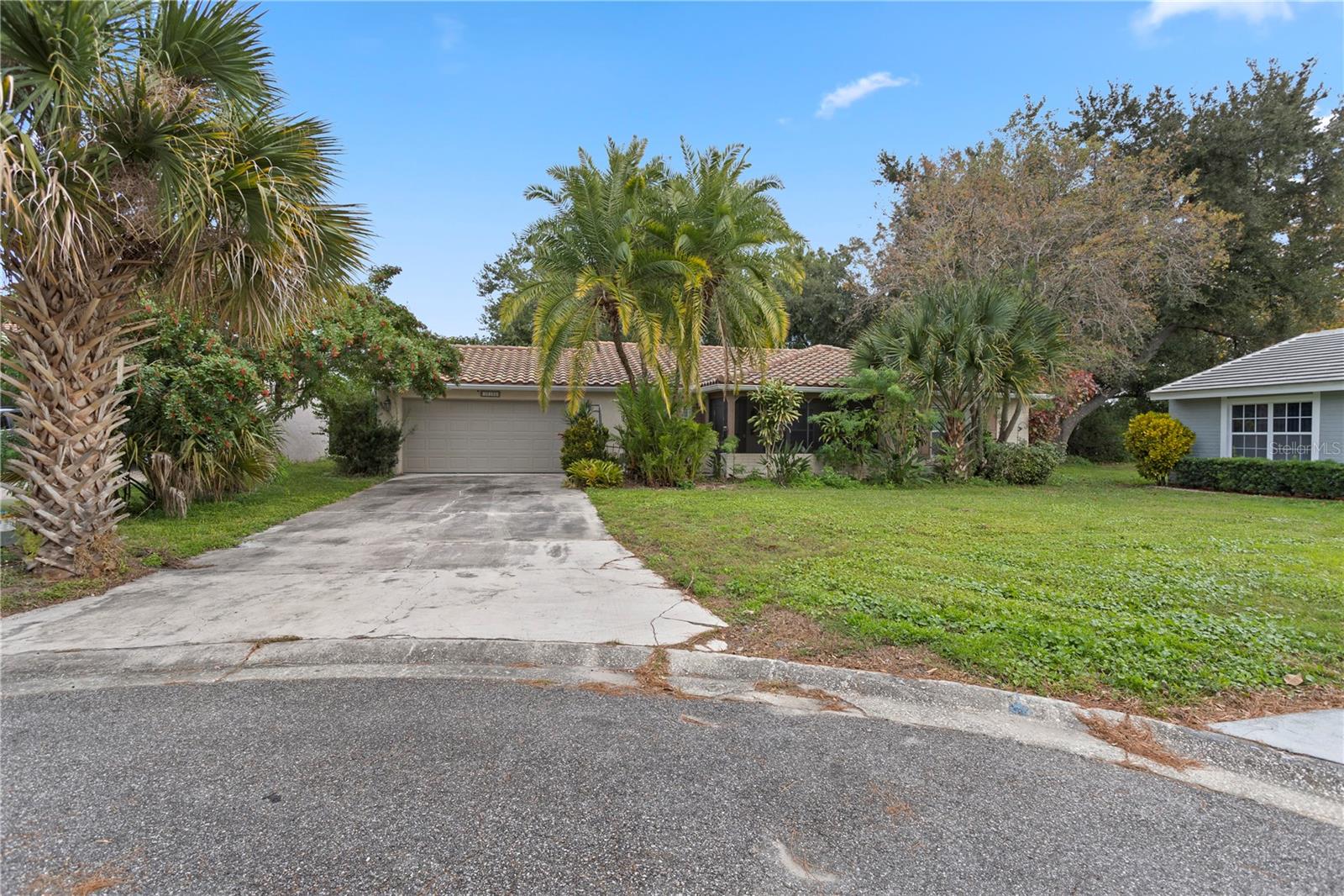 LIME TREE VILLAGE - Residential