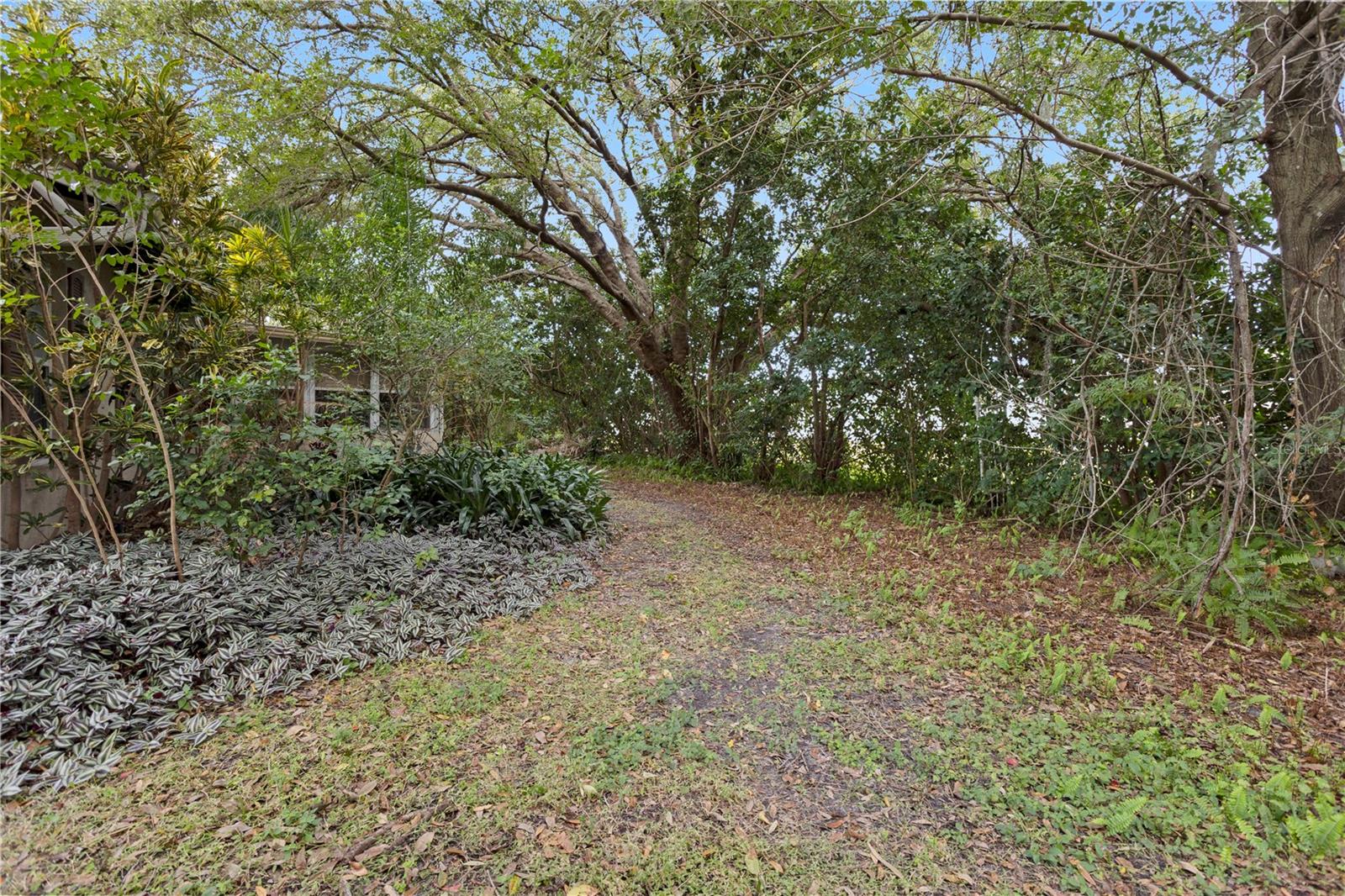 LIME TREE VILLAGE - Residential