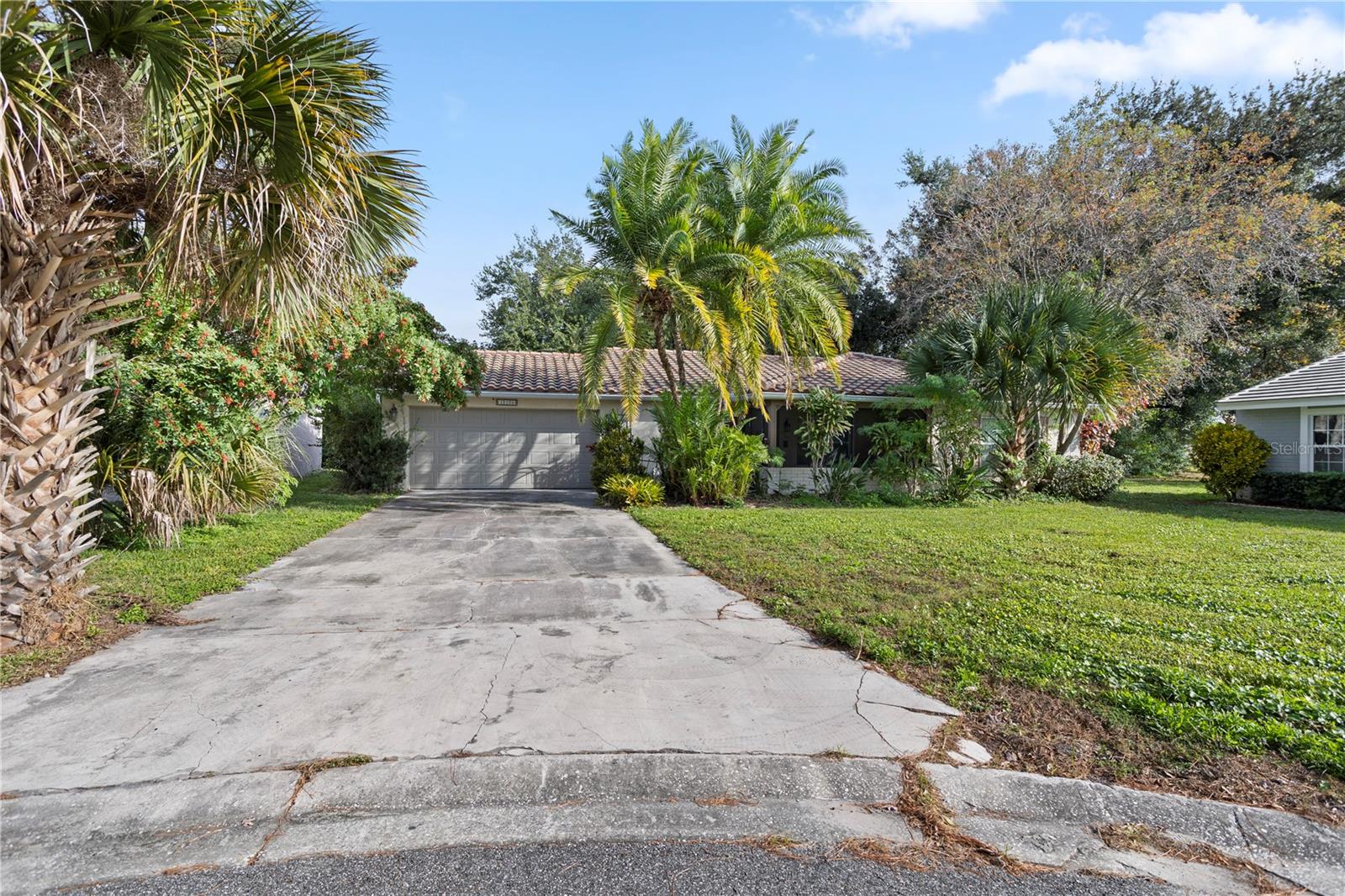 LIME TREE VILLAGE - Residential