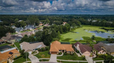 A home in VALRICO