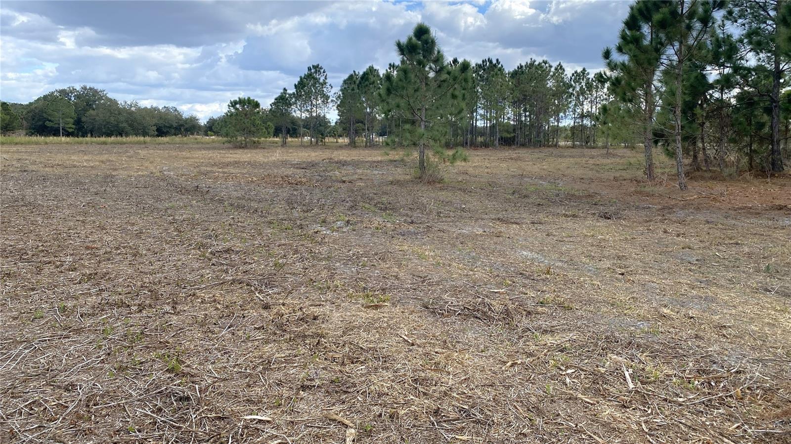 VIKING ESTATES - Land