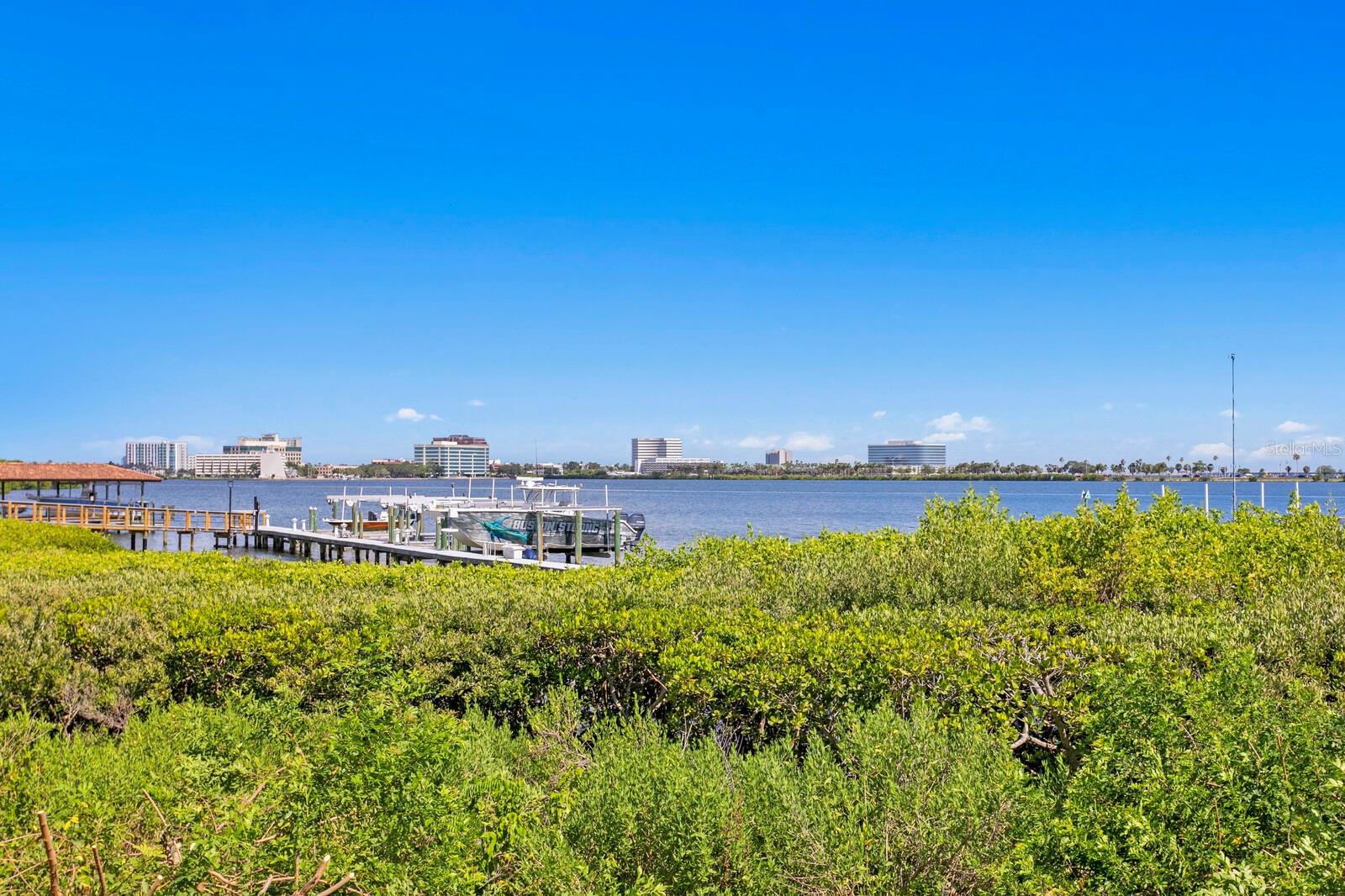 THE RESERVE OF OLD TAMPA BAY - Residential