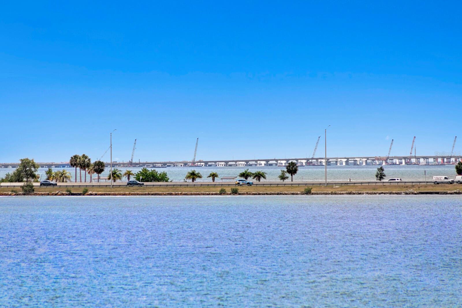 THE RESERVE OF OLD TAMPA BAY - Residential