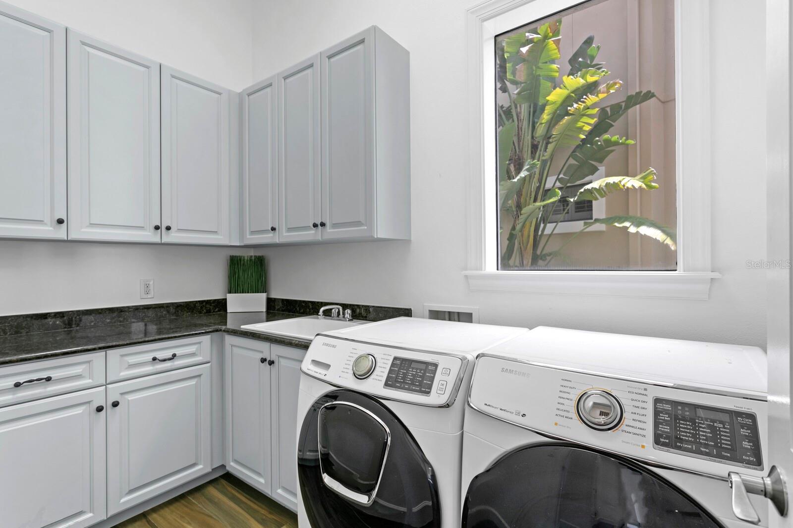 THE RESERVE OF OLD TAMPA BAY - Residential