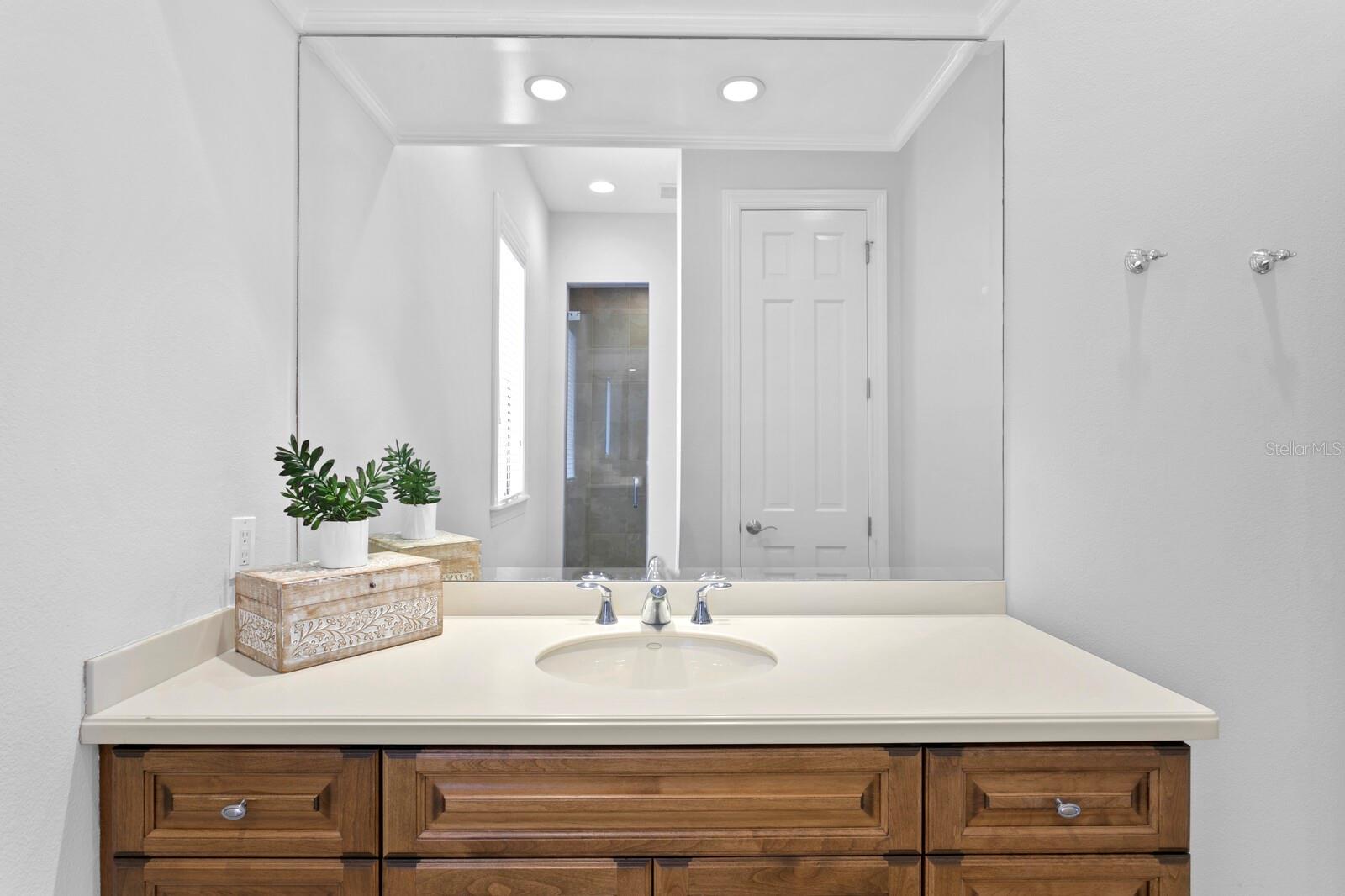 THE RESERVE OF OLD TAMPA BAY - Residential