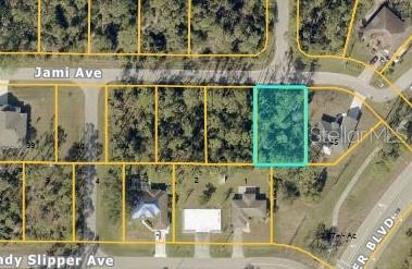 Prime vacant lot located on Jami Ave in North Port, FL, right next to 5037 Jami Ave. This 10,000 sq ft (approx. 80x125) residential lot and offers the perfect opportunity to build your dream home in a quiet, established neighborhood. Located in a no flood zone (Zone X) with electricity nearby—well and septic required. Surrounded by newer homes, this lot offers strong future value and is close to I-75, shopping, schools, and Gulf beaches. No HOA or deed restrictions.