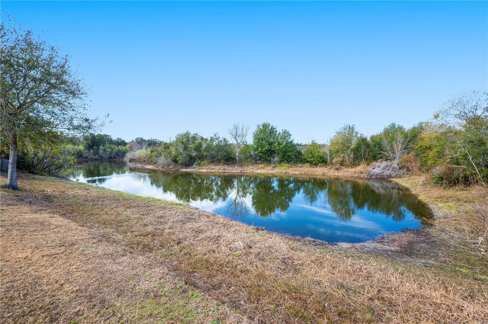 AVONDALE GROVES - Residential