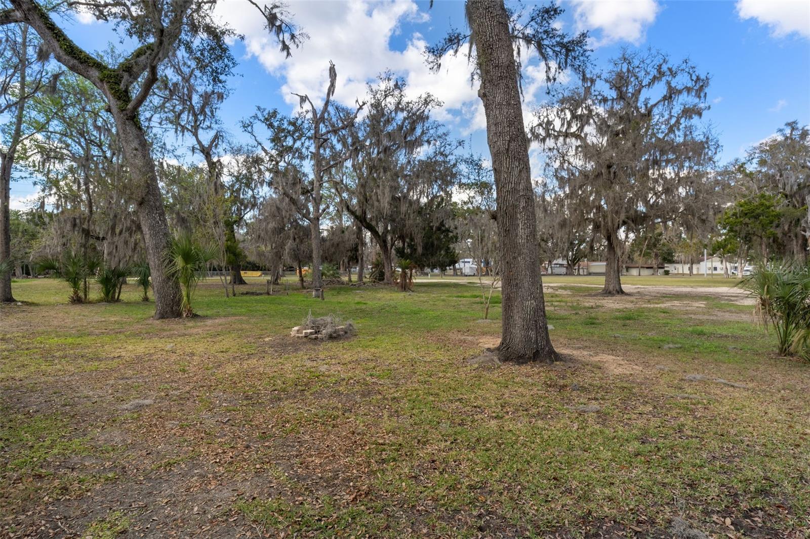 HOMOSASSA TOWN - Residential