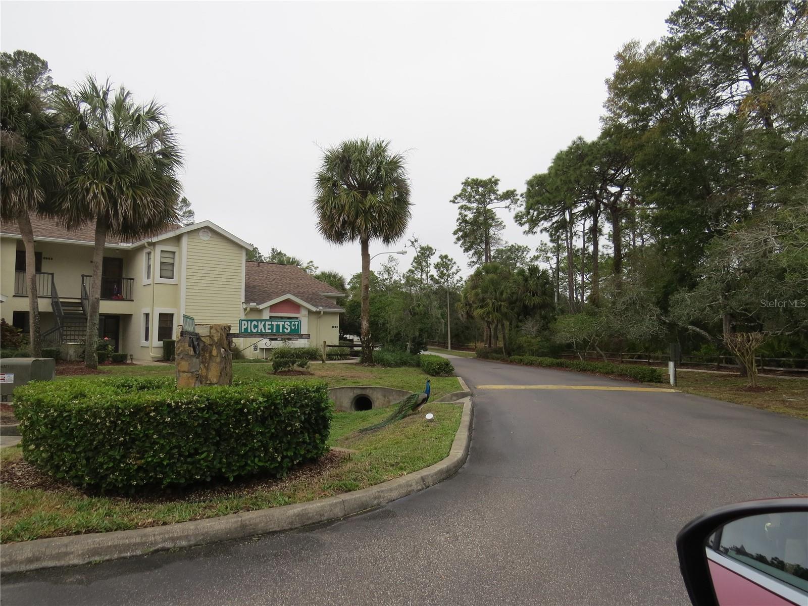 8055 PICKETTS COURT 1