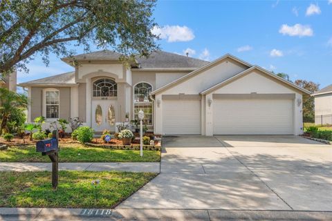 Photo of 18118 Sweet Jasmine Drive, Tampa, FL 33647 (MLS # W7881211)