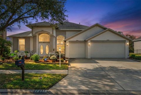 Photo of 18118 Sweet Jasmine Drive, Tampa, FL 33647 (MLS # W7881211)