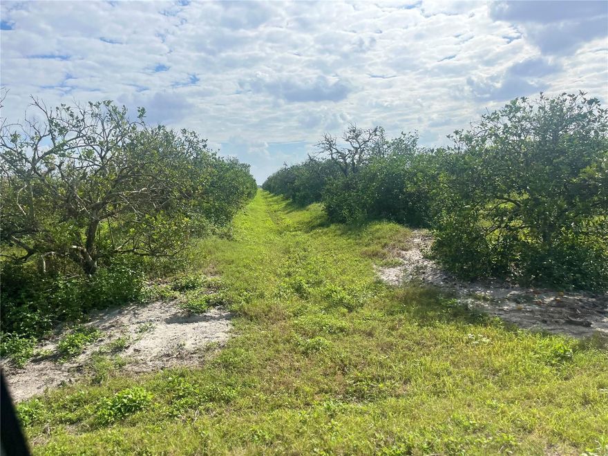 Thirty acres of orange groves located in the Joshua Grove Water District, Arcadia, in Desoto County.  Well maintained and producing Valencia oranges.  Fresh water canals maintained by SWWMD and wells owned and maintained by Alico Citrus used for the irrigation system and under a lease with Alico Citrus.  Property includes micro-jet irrigation tubing.
The 30 acres is composed of a 20 acre block with dimensions of 1320 x 660 and another 10 acre block with dimensions of 1320 x 330.