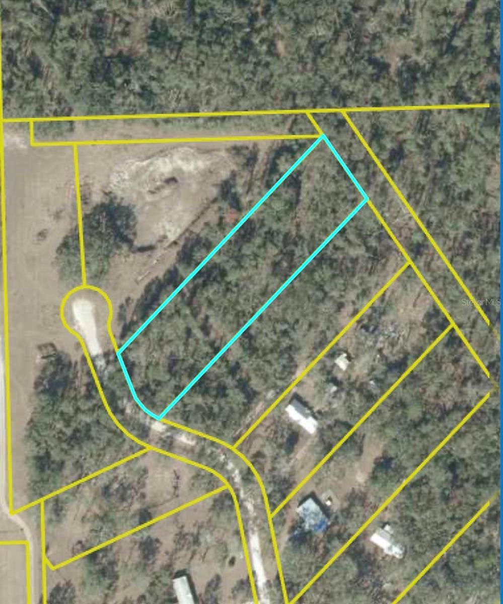 Photo of SW Oakdale Road, Mayo, FL 32066 (MLS # A4705261)