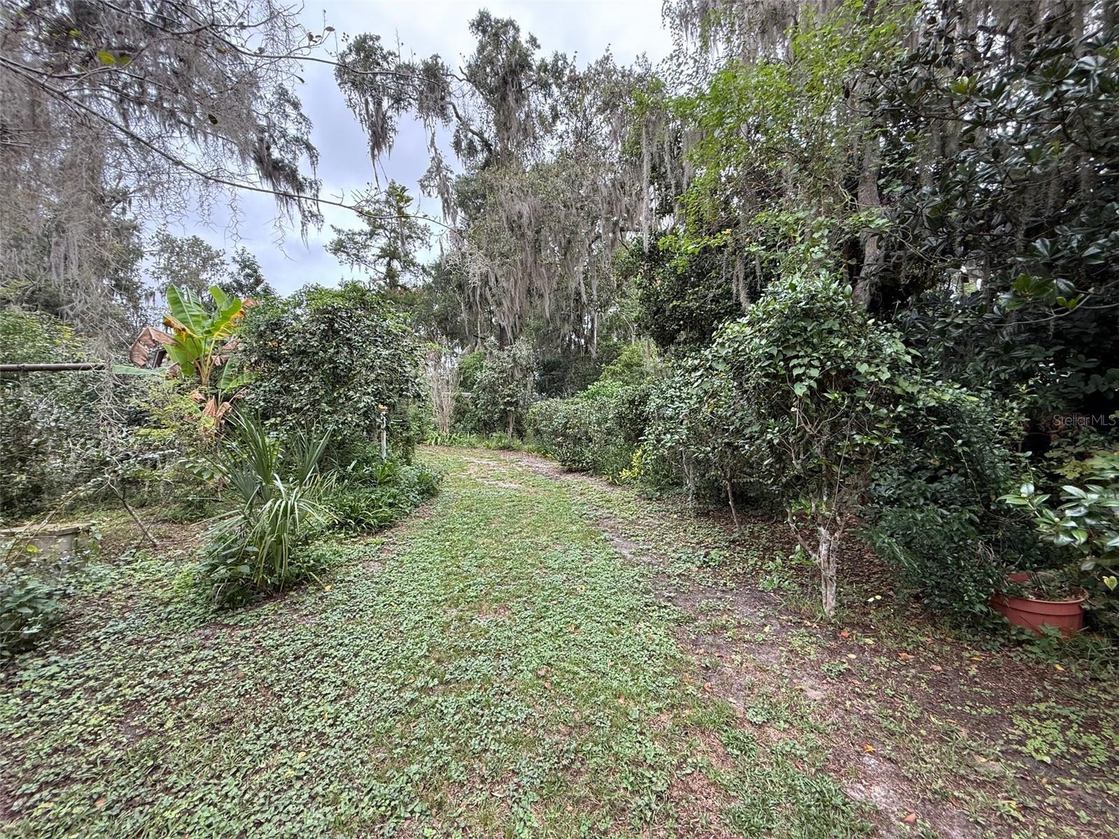 FLORIDA PARK - Residential