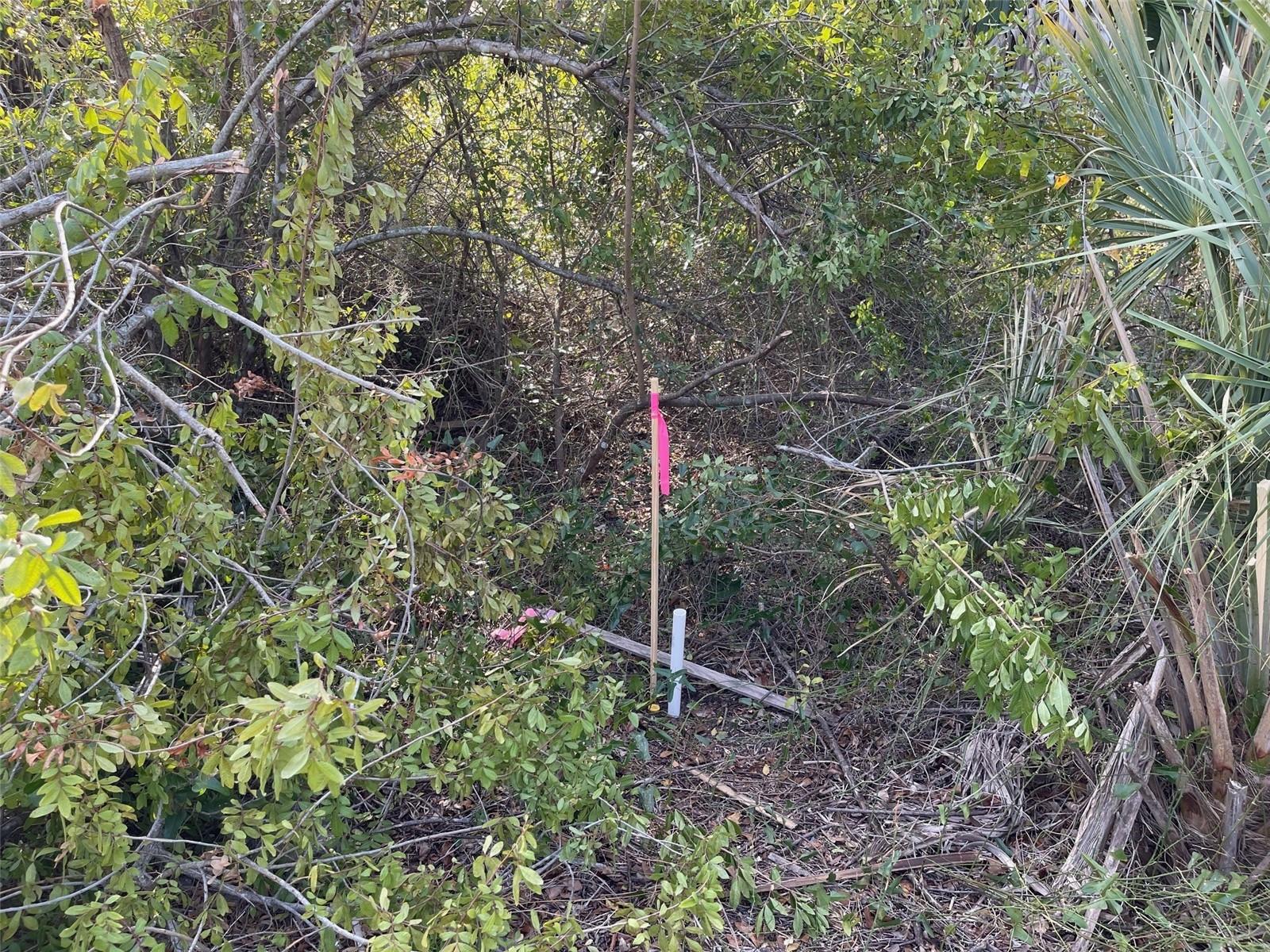 PORT CHARLOTTE SUB 21 - Land