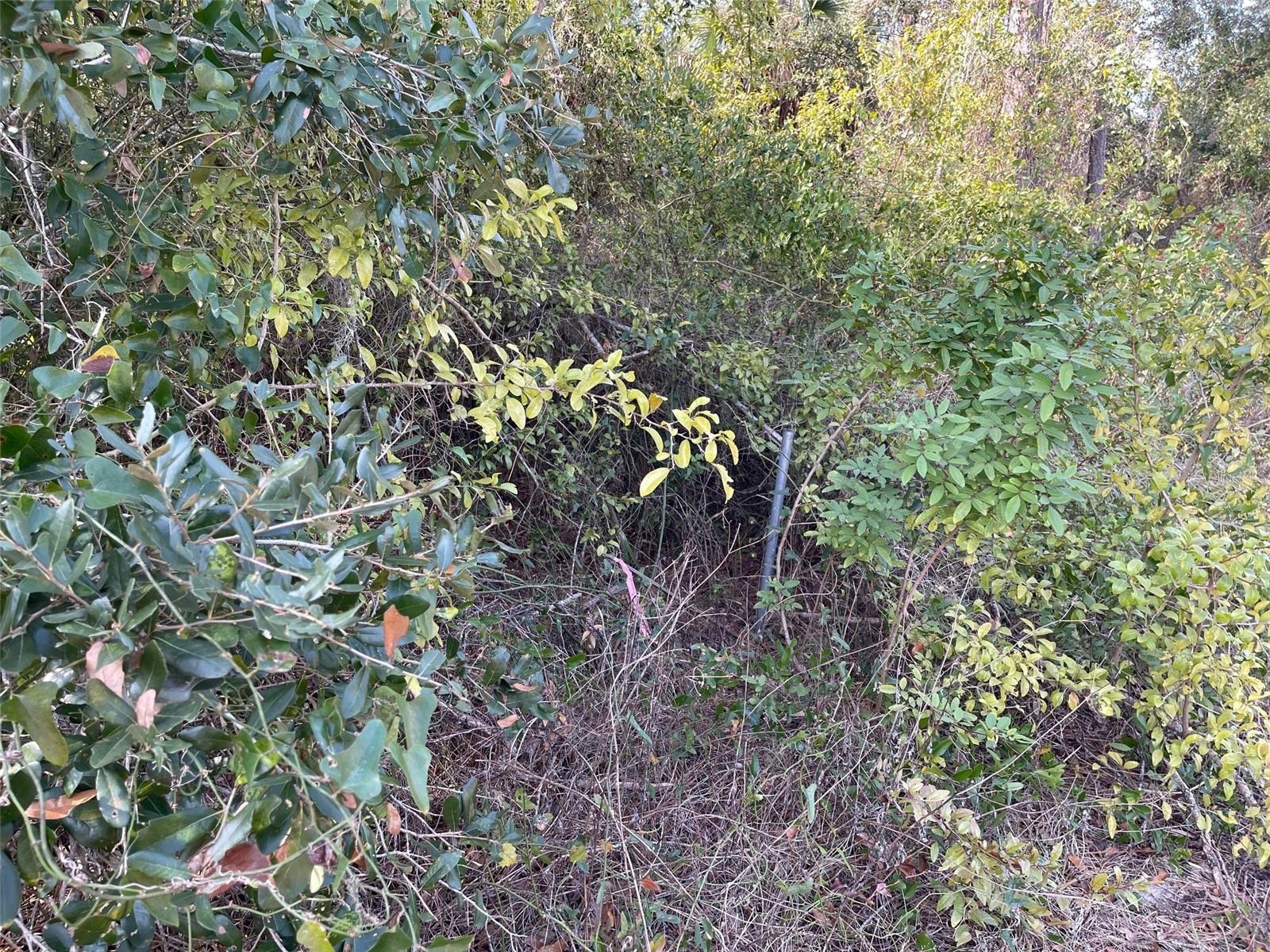 PORT CHARLOTTE SUB 21 - Land