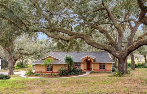 30911 VISTA VIEW MOUNT DORA FL 32757