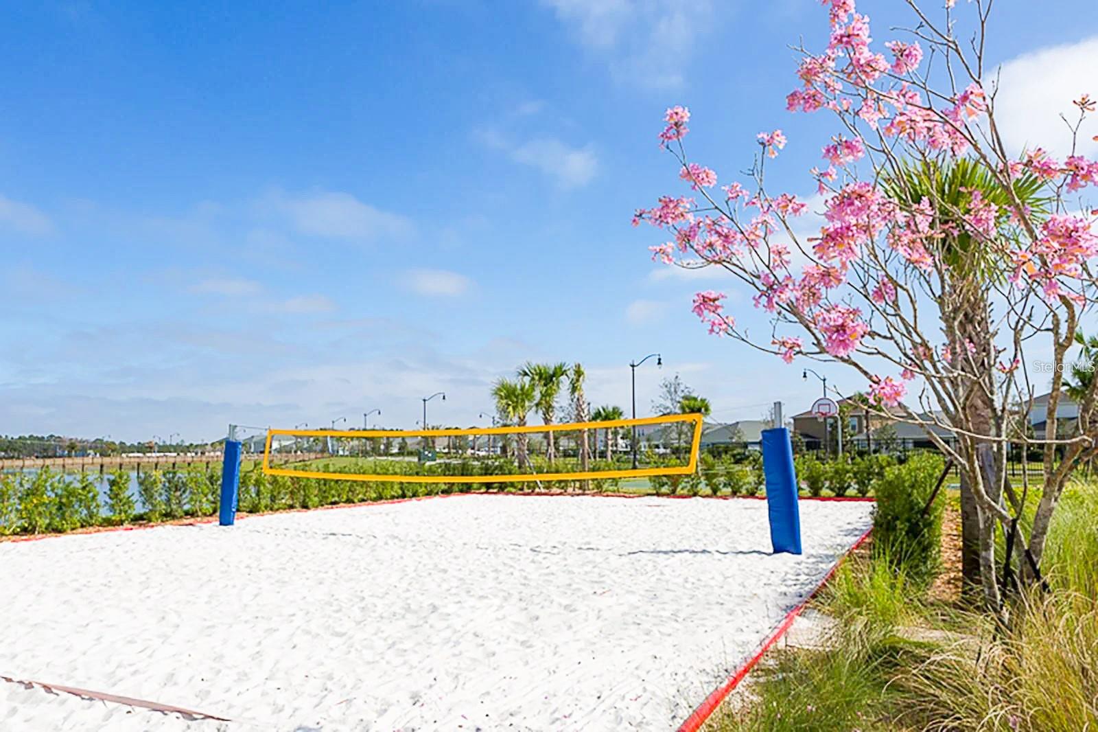 COVE AT STOREY LAKE III - Residential