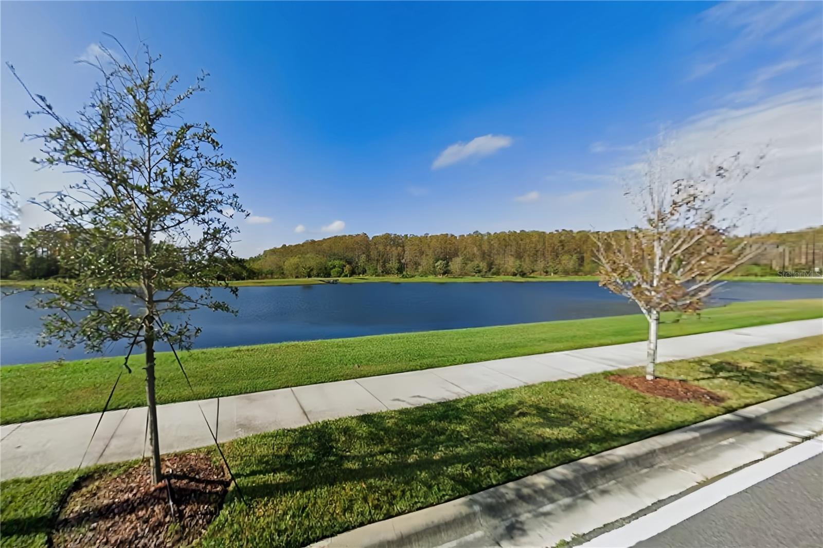 COVE AT STOREY LAKE III - Residential